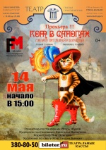 Кот в сапогах (Музыкальный театр "Festivals master-studio")