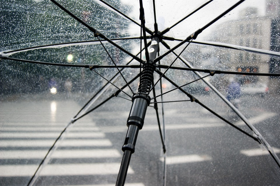 Петербуржцев предупредили о дождях на следующей неделе