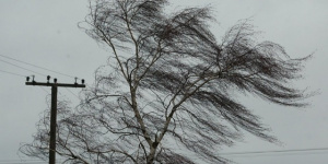 МЧС предупреждает петербуржцев об усилении ветра 13 января 
