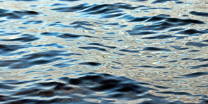 Спасатели нашли в Ладожском озере тело пропавшего мужчины