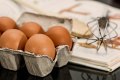 В России начали дешеветь куриные яйца