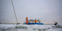 Со льда Финского залива эвакуировали двоих рыбаков и собаку 