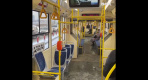 Петербуржцам понравился новый бесплатный трамвай