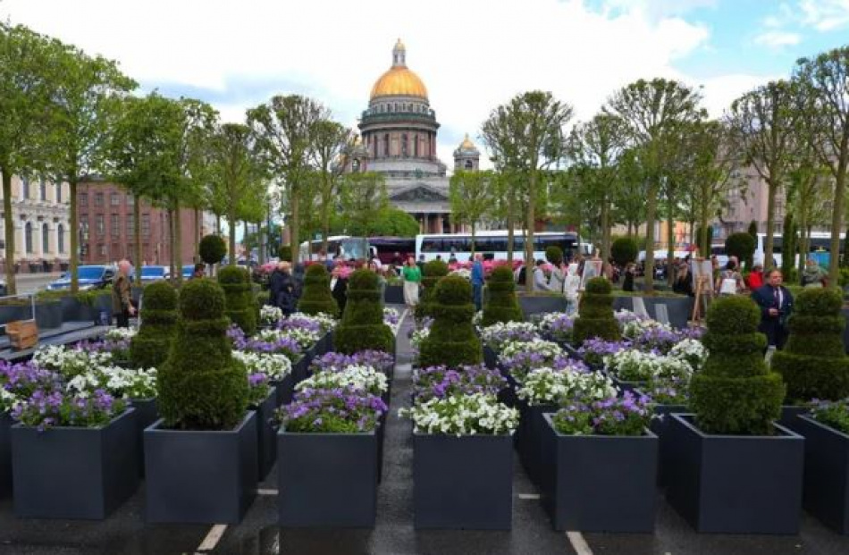 Сад-трансформер открыли на Синем мосту в Петербурге 