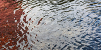 Мужчина утонул в озере в Ленобласти
