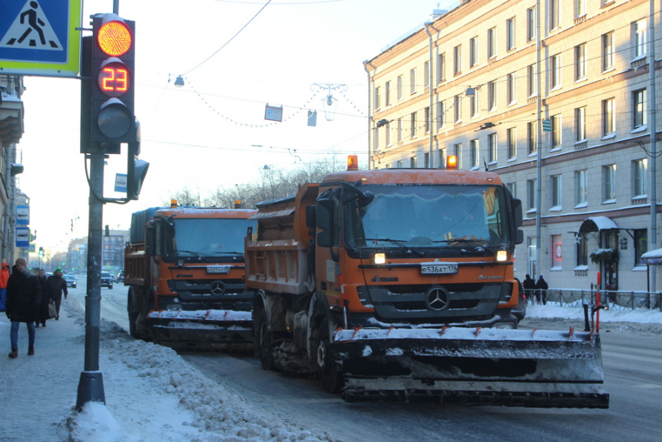 После снегопада с дорог Ленобласти убрали более 60 поваленных деревьев