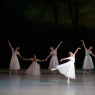 Фото Вечер балетов Шопениана, Жар-птица, Шехеразада