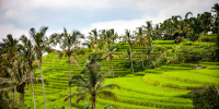 Власти Индонезии назвали интересные туристические направления помимо Бали